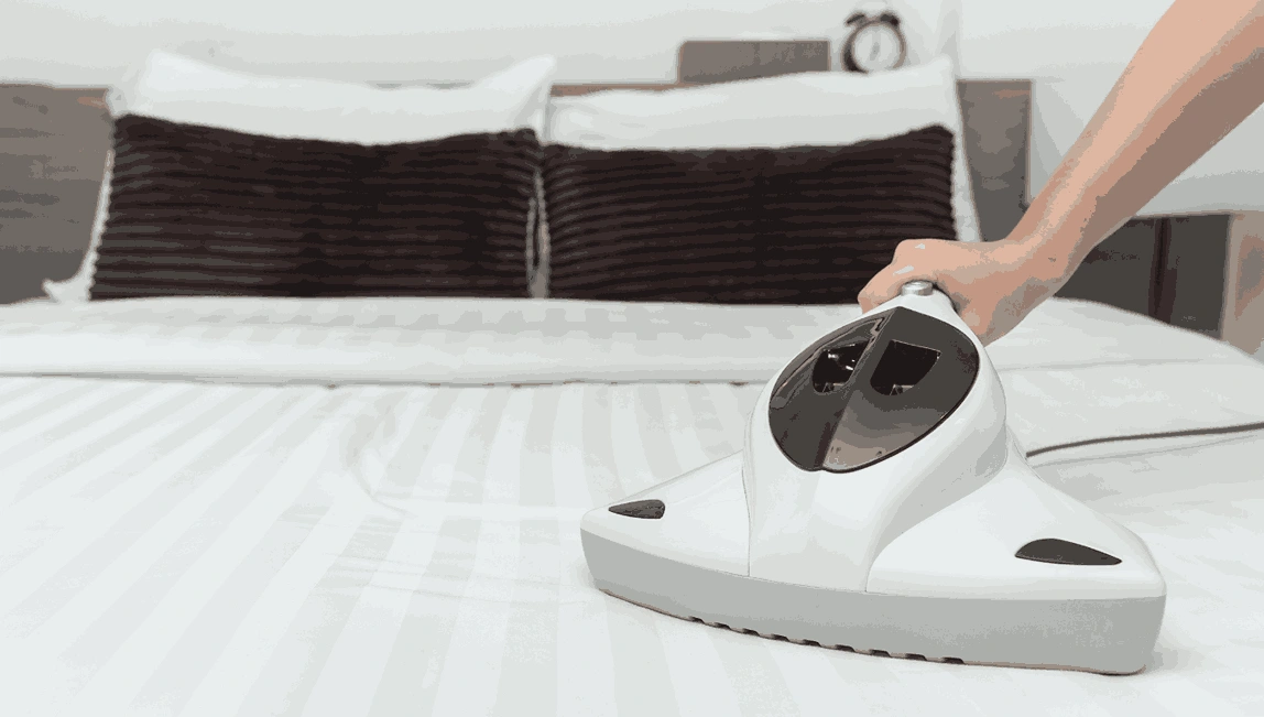 Professional Mattress Cleaning Point Leo
